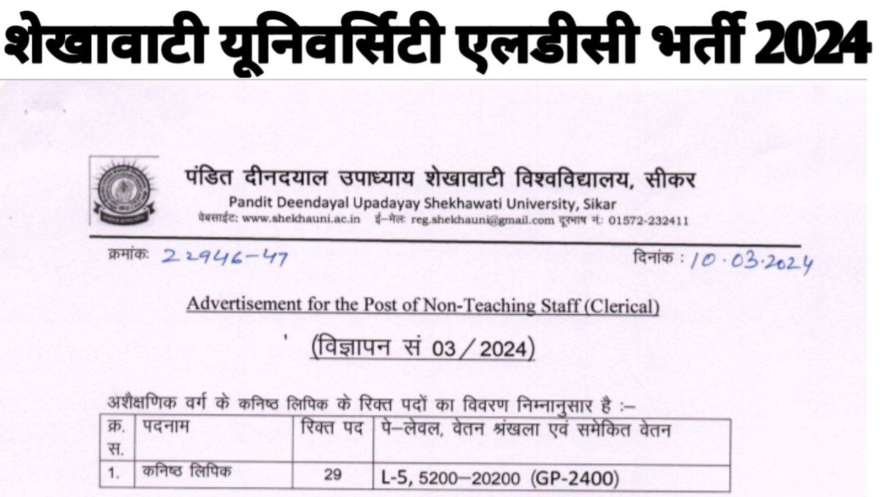 Shekhawati University LDC Vacancy 2024